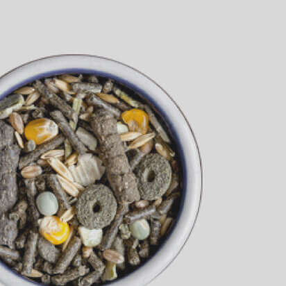 meerschweinchenfutter bubblenavibanner